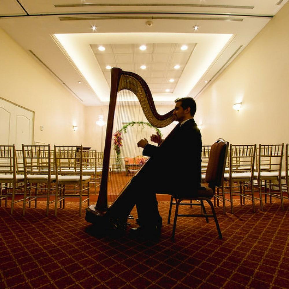 فندق آسفي رويال لاكشري فالي San Pedro Garza Garcia المظهر الخارجي الصورة Harpist at a wedding