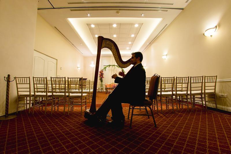 فندق آسفي رويال لاكشري فالي San Pedro Garza Garcia المظهر الخارجي الصورة A harpist playing at a wedding